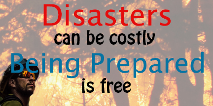Disasters costly