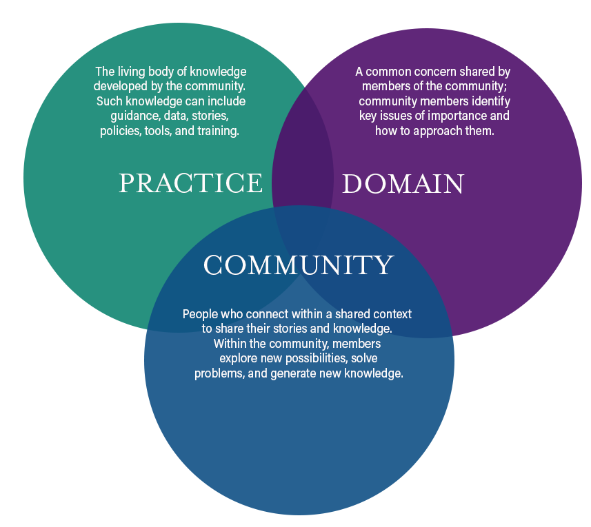 Figure depicting three elements of a community of practice intertwined: practice, domain, and community.