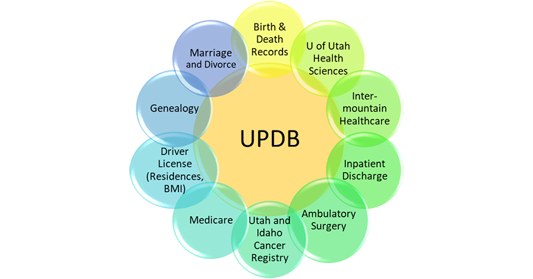 UPDM logo