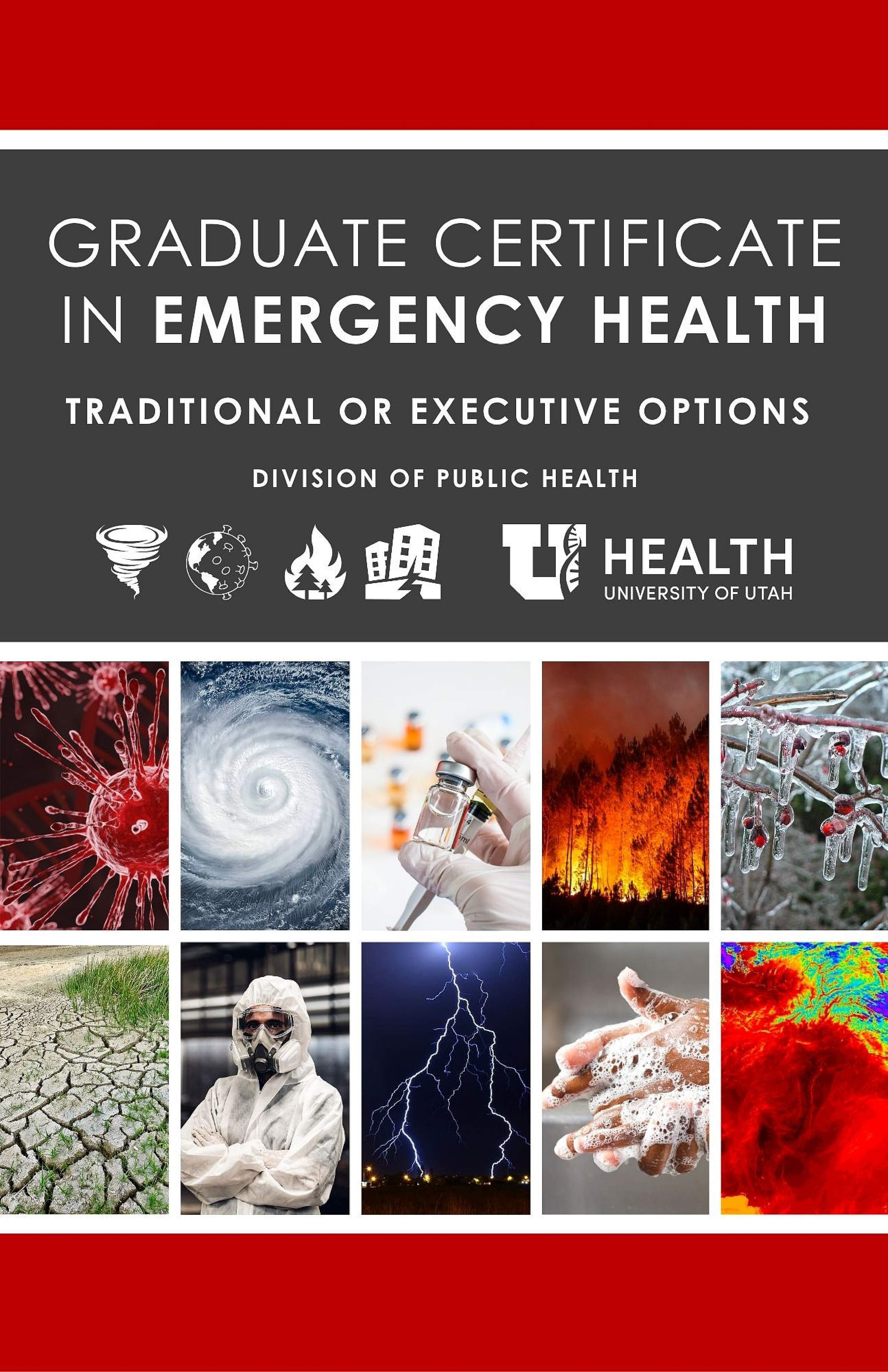 Emergency Health Certificate
